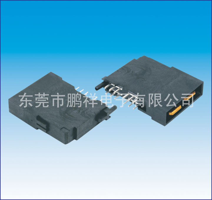 大電流系列，2P電池公座